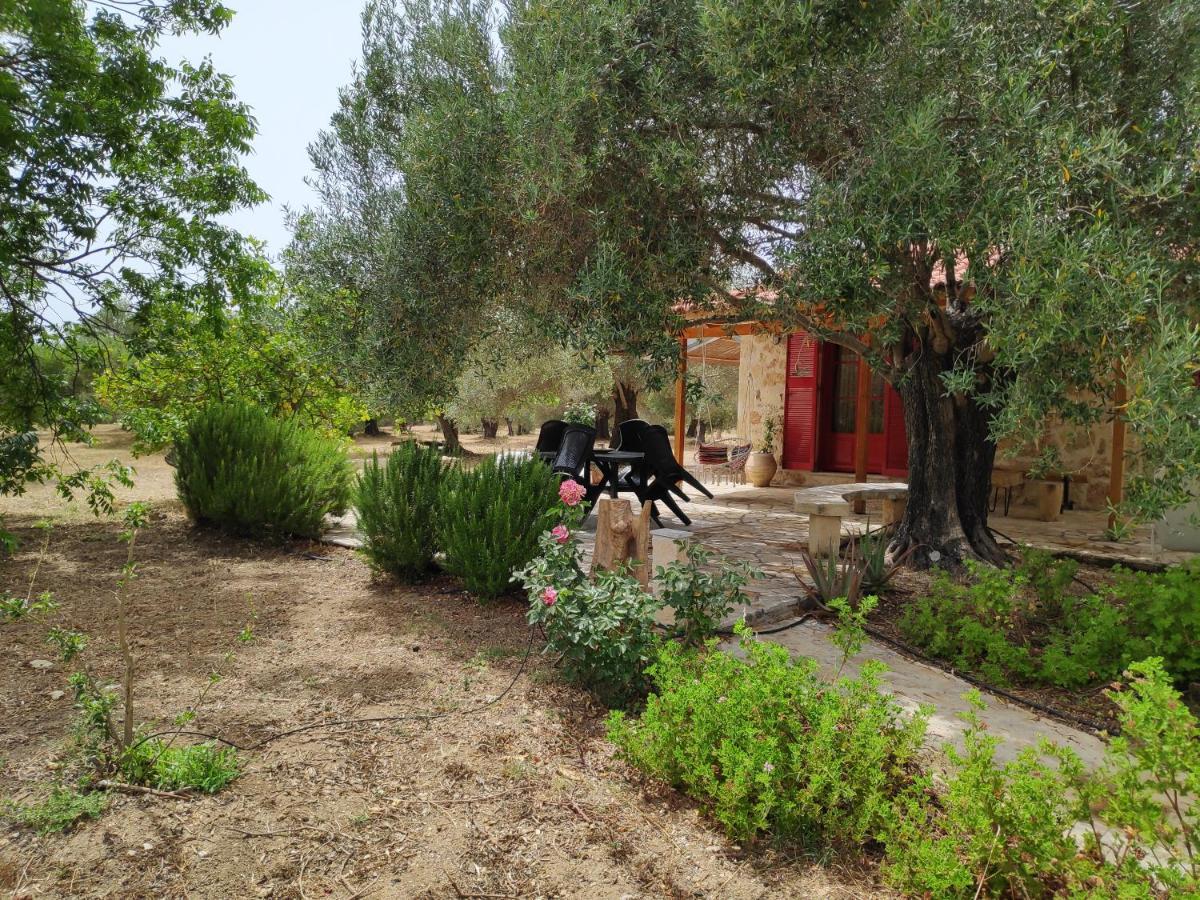 فيلا Dreamy Stone House Pesádha المظهر الخارجي الصورة